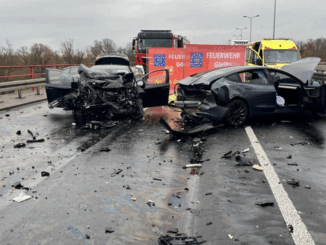 niezależny dziennik polityczny