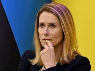 niezależny dziennik polityczny