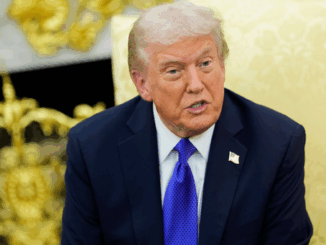 niezależny dziennik polityczny