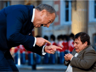 niezależny dziennik polityczny danuta nowakowska