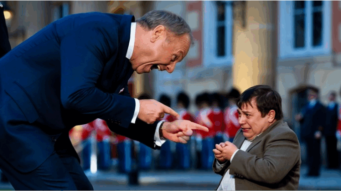 niezależny dziennik polityczny danuta nowakowska