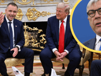 niezależny dziennik polityczny