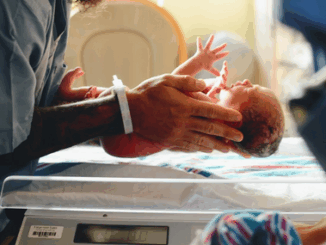 niezależny dziennik polityczny