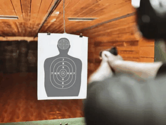 niezależny dziennik polityczny