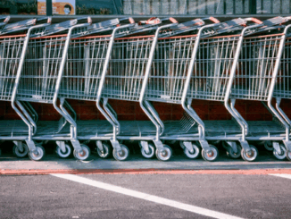 niezależny dziennik polityczny