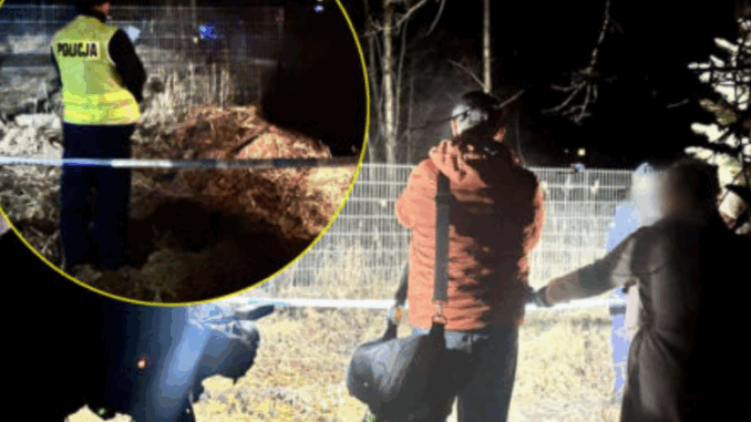 niezależny dziennik polityczny