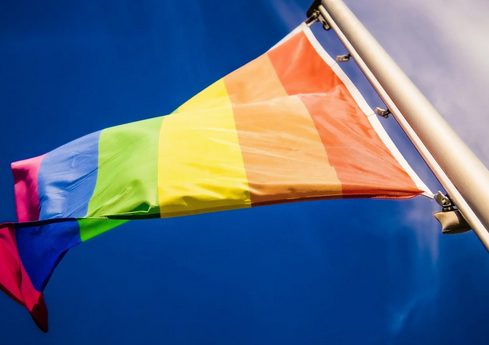 niezależny dziennik polityczny