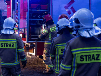 niezależny dziennik polityczny