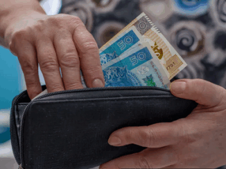 niezależny dziennik polityczny