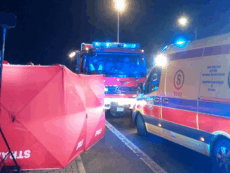 niezależny dziennik polityczny