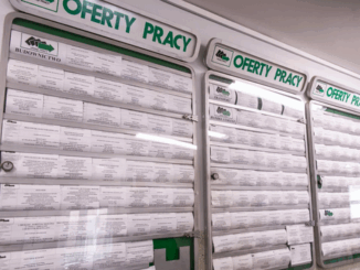 niezależny dziennik polityczny