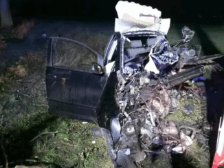 niezależny dziennik polityczny