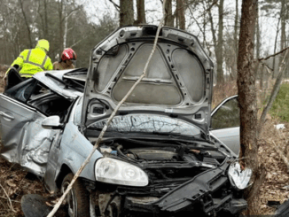 niezależny dziennik polityczny