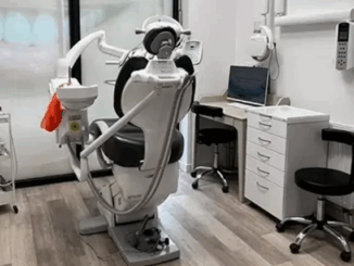 niezależny dziennik polityczny