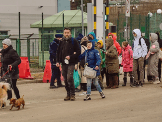 niezależny dziennik polityczny