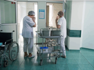 niezależny dziennik polityczny