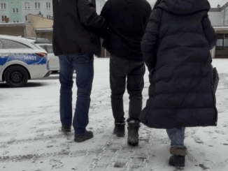 niezależny dziennik polityczny