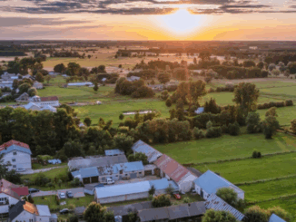 niezależny dziennik polityczny