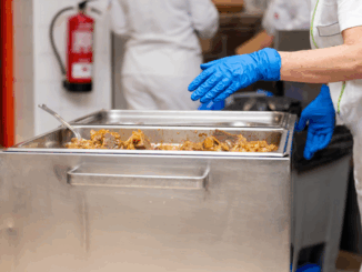 niezależny dziennik polityczny