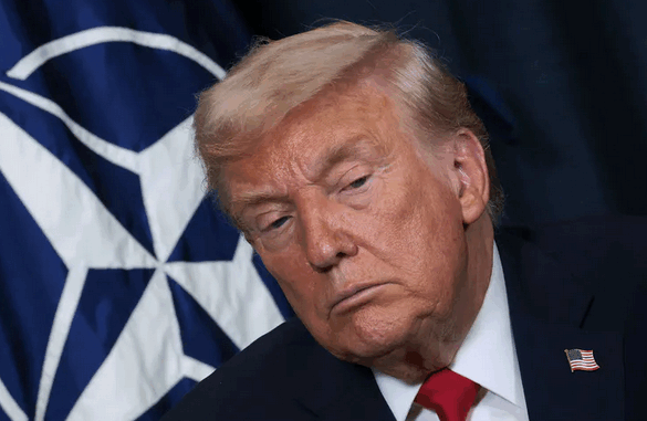 niezależny dziennik polityczny