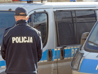 niezależny dziennik polityczny