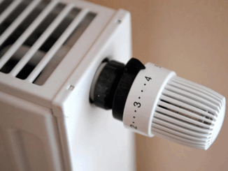 niezależny dziennik polityczny