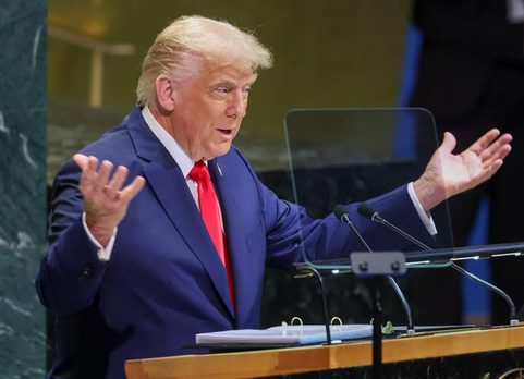 niezależny dziennik polityczny