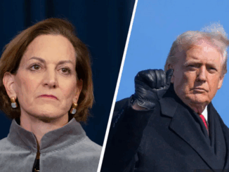 niezależny dziennik polityczny