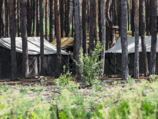 niezależny dziennik polityczny