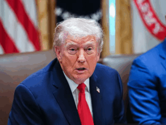 niezależny dziennik polityczny