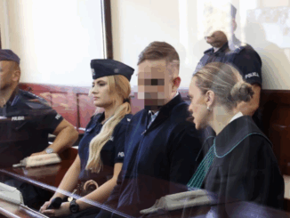 niezależny dziennik polityczny