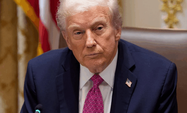 niezależny dziennik polityczny