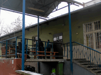 niezależny dziennik polityczny