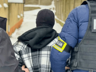 niezależny dziennik polityczny