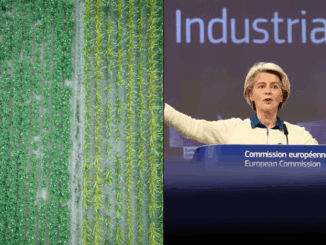 niezależny dziennik polityczny