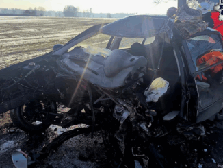 niezależny dziennik polityczny