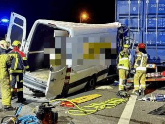 niezależny dziennik polityczny