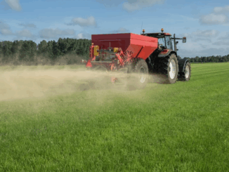 niezależny dziennik polityczny