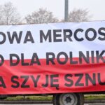 niezależny dziennik polityczny danuta