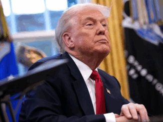 niezależny dziennik polityczny