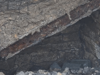 niezależny dziennik polityczny