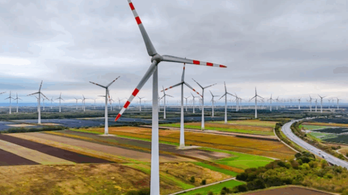 niezależny dziennik polityczny