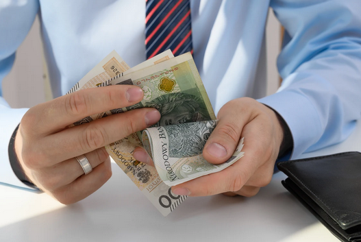 niezależny dziennik polityczny