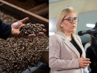 niezależny dziennik polityczny