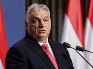 niezależny dziennik polityczny