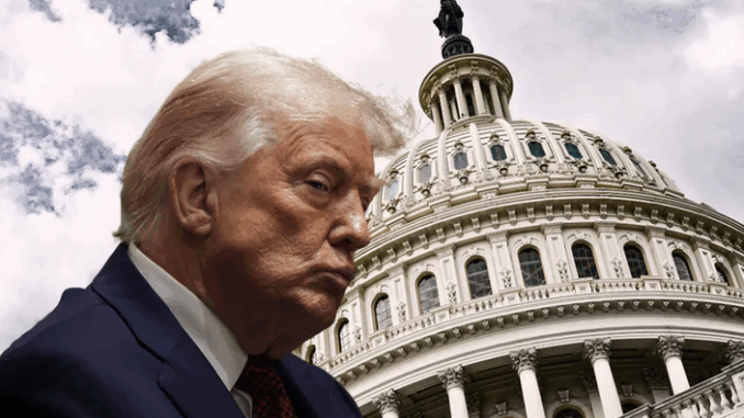 niezależny dziennik polityczny