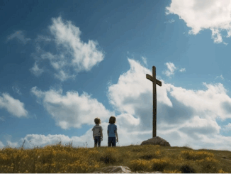 niezależny dziennik polityczny