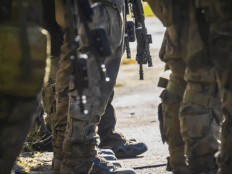 niezależny dziennik polityczny