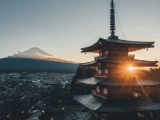 niezależny dziennik polityczny