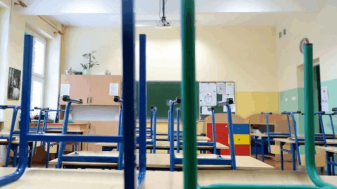 niezależny dziennik polityczny